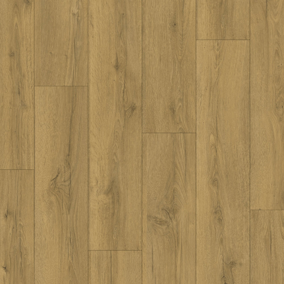 Honey Brown Oak Laminate Flooring – CLM5792 – 190mm Wide – 8mm Thick