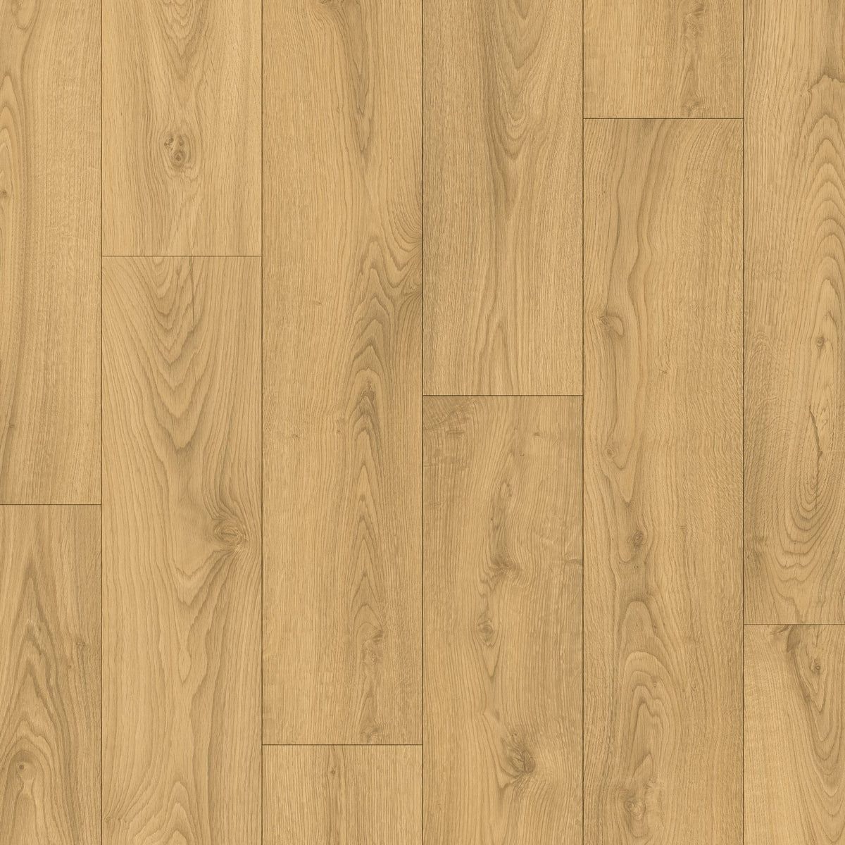 Sandy Oak Laminate Flooring – CLM5801 – 190mm Wide – 8mm Thick