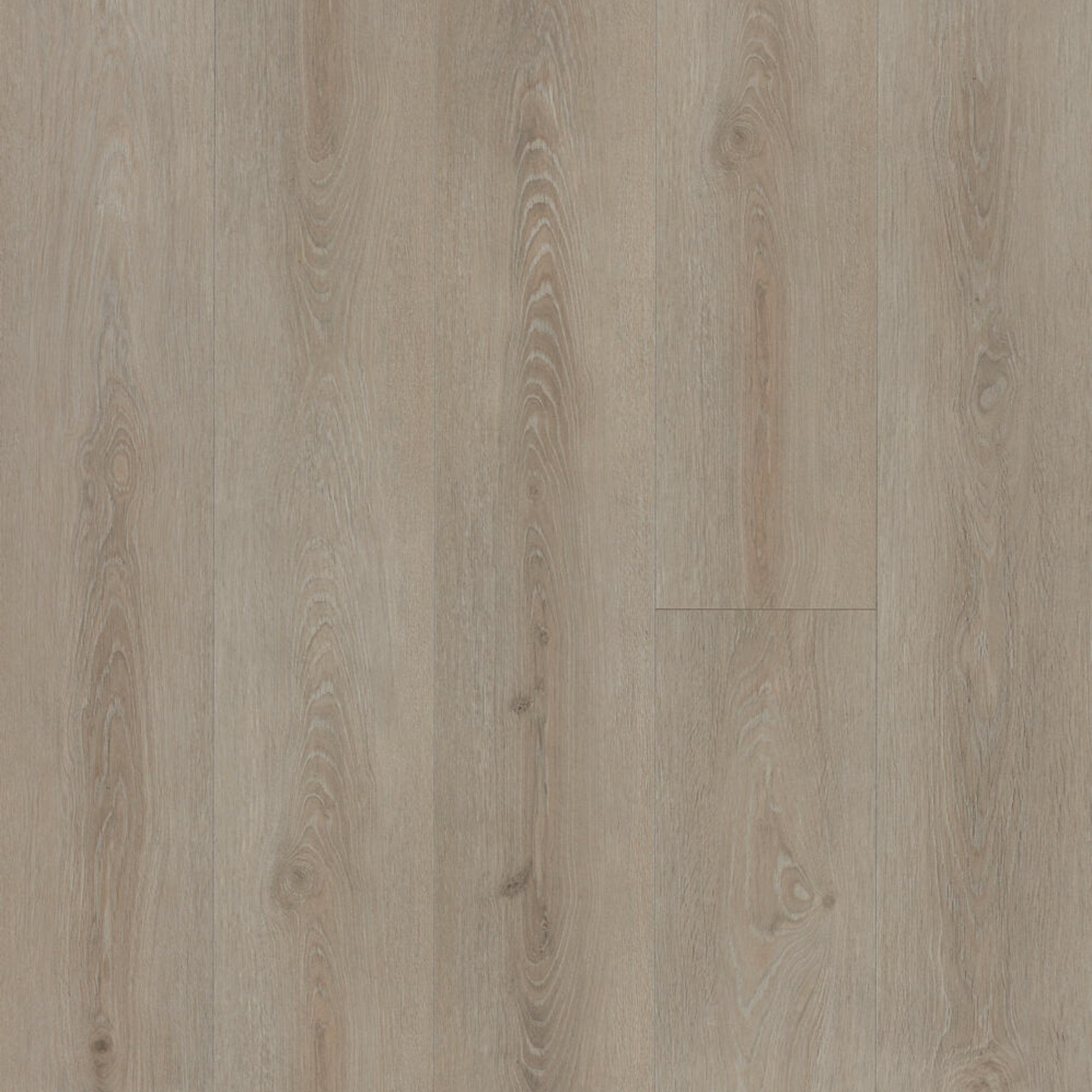 Champs Elysees Laminate Flooring – 241mm Wide – 12.3mm Thick – AC6 Rated