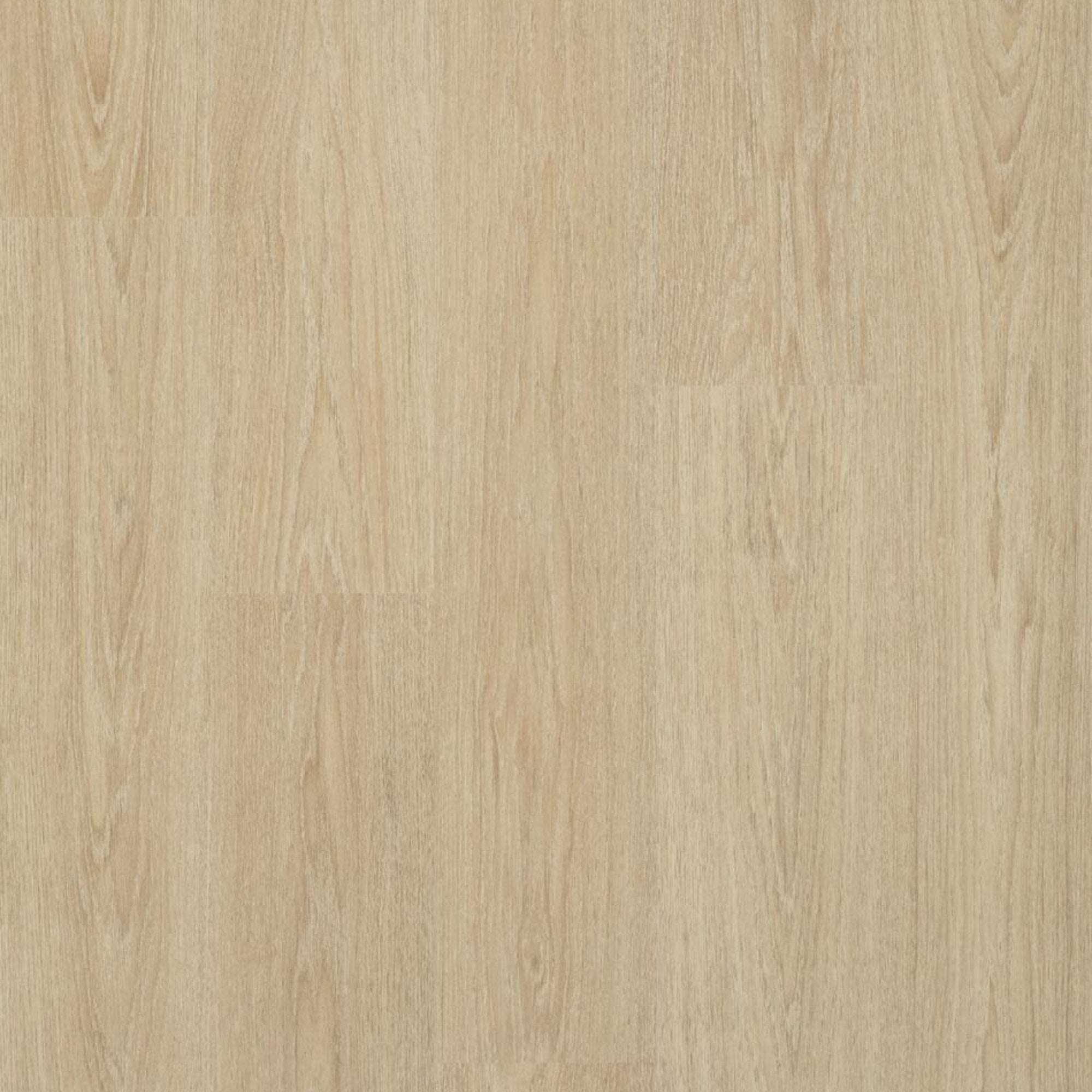 Charme Light Natural Laminate Flooring – 190mm Wide – 8mm Thick