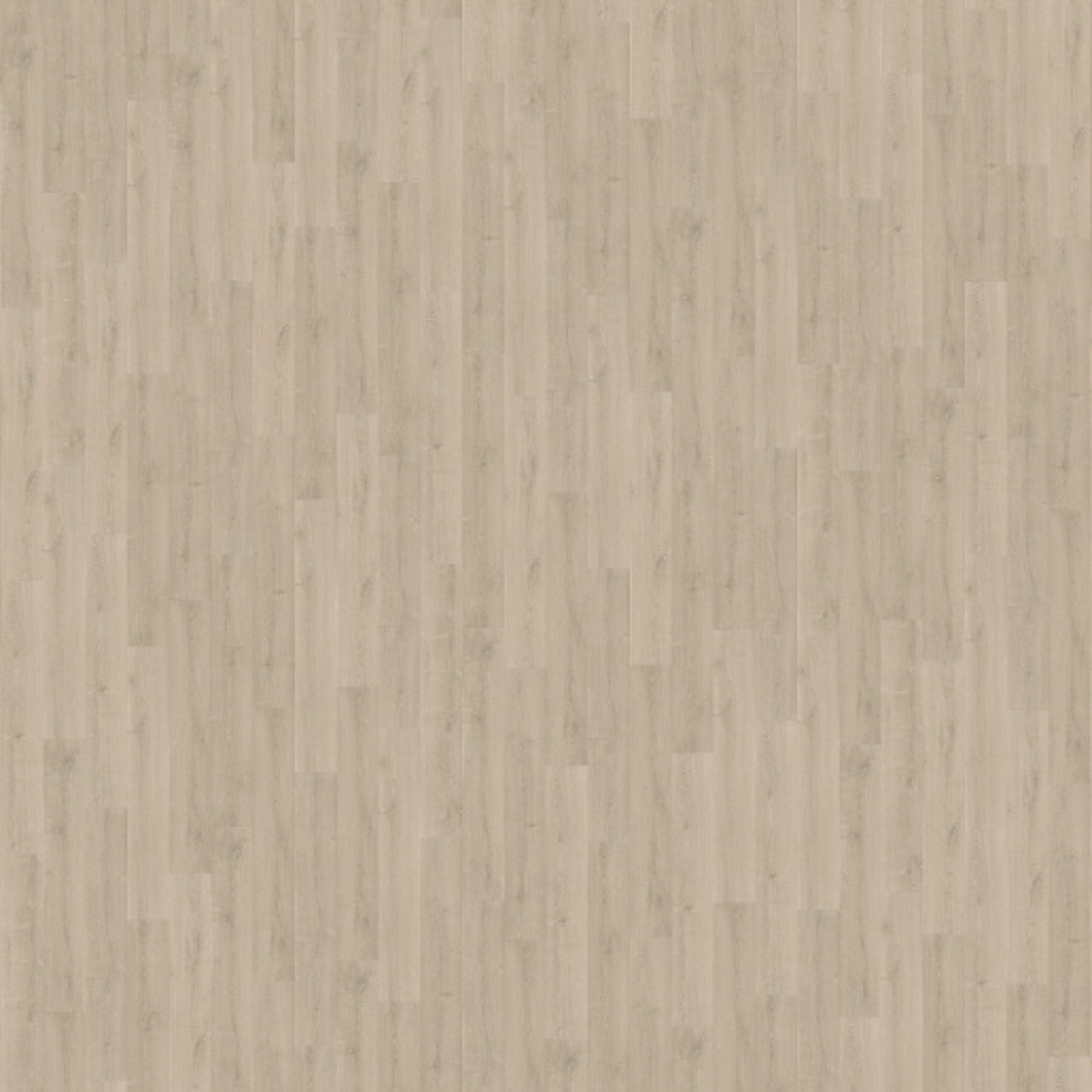 Brushed Oak Beige Laminate Flooring – SIG4764 – 212mm Wide – 9mm Thick
