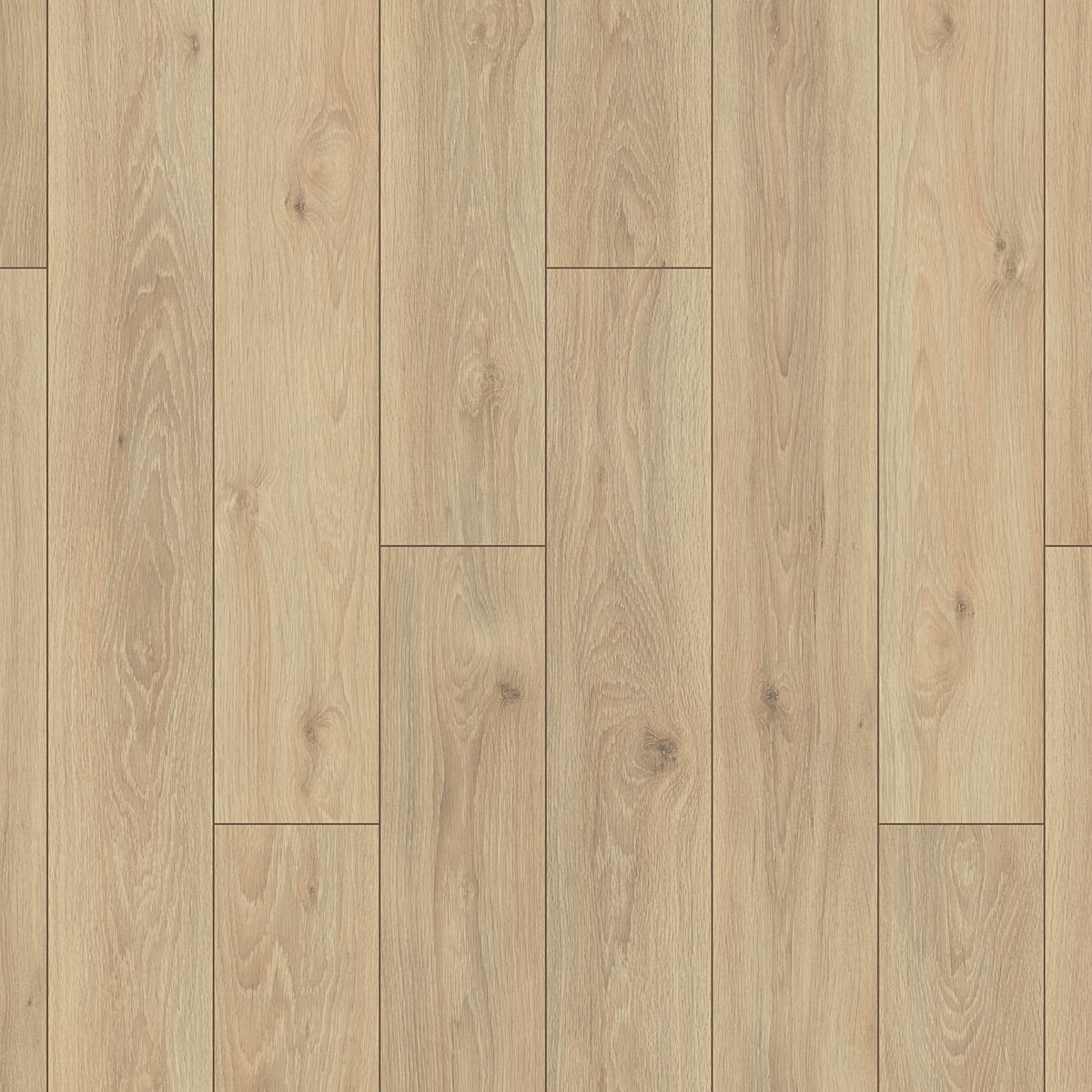 Dahl Oak Laminate Flooring – 195mm Wide – 8mm Thick